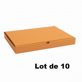 Lot de 10 bo&icirc;tes carton extra-plates 50x35x5cm