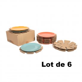 Lot de 6 cartons vaisselle pour 12 assiettes plates