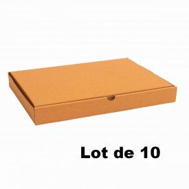 Lot de 10 bo&icirc;tes carton extra-plates 65x45x5cm