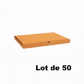 Lot de 50 bo&icirc;tes carton extra-plates 24x18x5cm