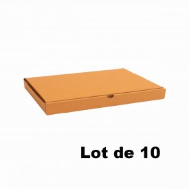 Lot de 10 bo&icirc;tes carton extra-plates 30x24x5cm
