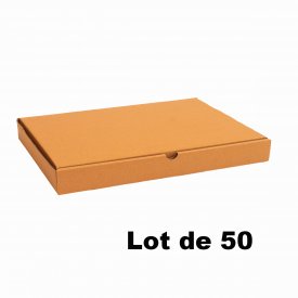 Lot de 50 bo&icirc;tes carton extra-plates 46x36x5cm