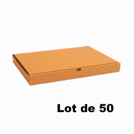 Lot de 50 bo&icirc;tes carton extra-plates 40x40x5cm