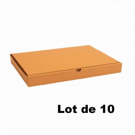 Lot de 10 bo&icirc;tes carton extra-plates 43x31x5cm