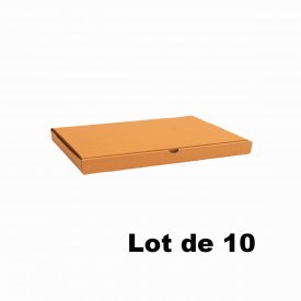 Lot de 10 bo&icirc;tes carton extra-plates 24x18x5cm
