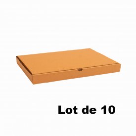 Lot de 10 bo&icirc;tes carton extra-plates 31x22x5cm