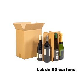 Lot de 50 cartons pour 6 bouteilles