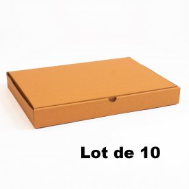 Lot de 10 bo&icirc;tes carton extra-plates 70x50x5cm