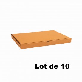Lot de 10 bo&icirc;tes carton extra-plates 29x29x5cm