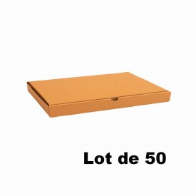 Lot de 50 bo&icirc;tes carton extra-plates 29x29x5cm