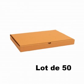 Lot de 50 bo&icirc;tes carton extra-plates 31x22x5cm