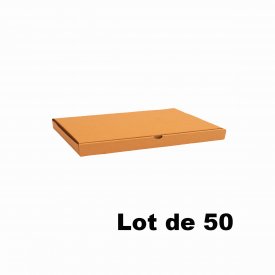 Lot de 50 bo&icirc;tes carton extra-plates 21,5x15,5x5cm
