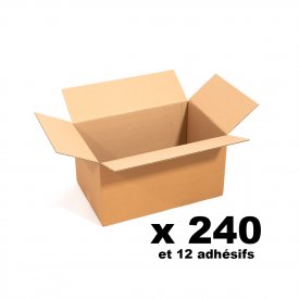 Pack 240 cartons standards + 12 adh&eacute;sifs offerts