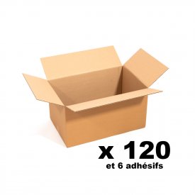 Pack 120 cartons standards + 6 adh&eacute;sifs offerts